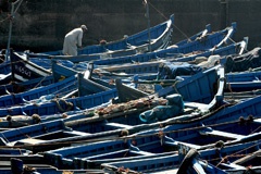 IMG_1087a
